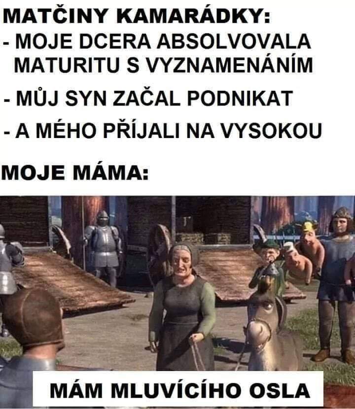 Obrázek mluvici osel