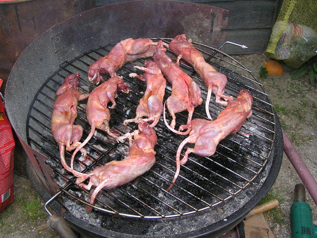 Obrázek mnamka na grilu