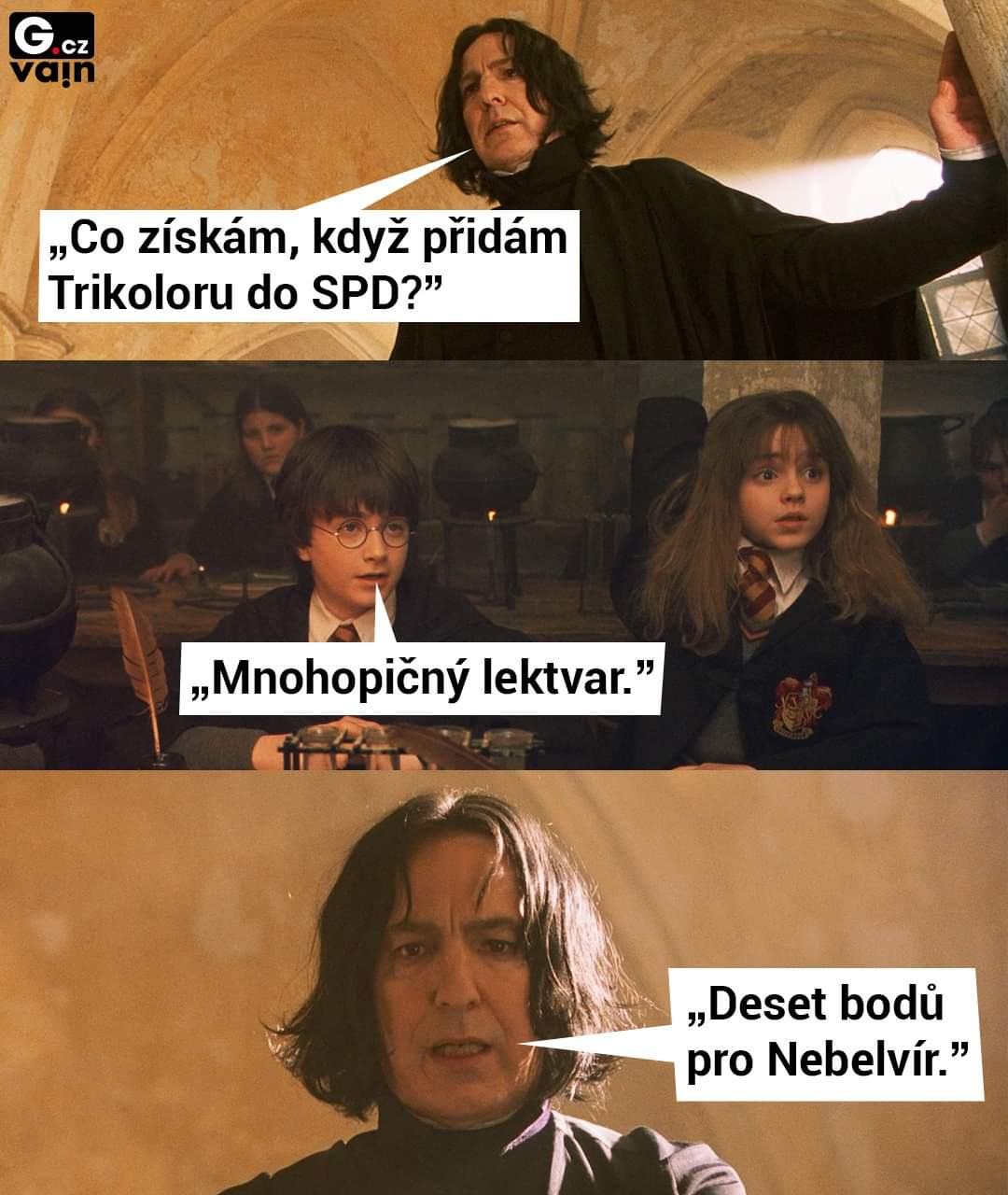 Obrázek mnohopicny