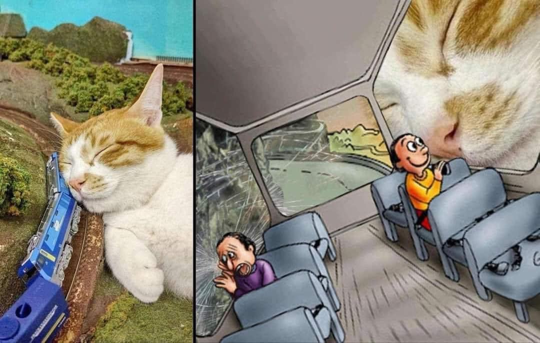 Obrázek modelova kocka