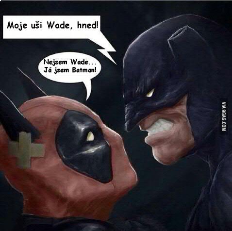 Obrázek moje usi wade