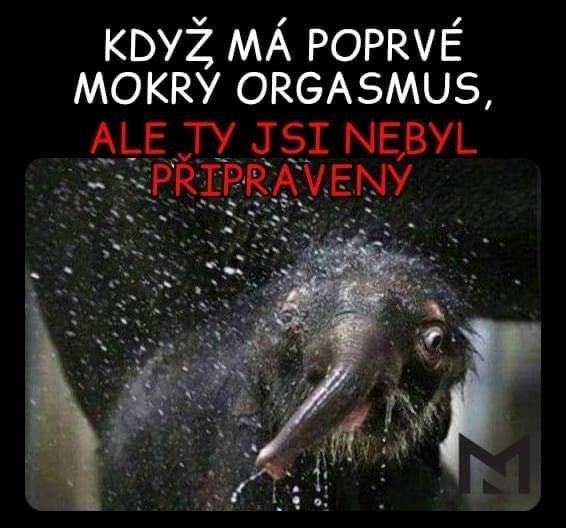 Obrázek mokrazmus