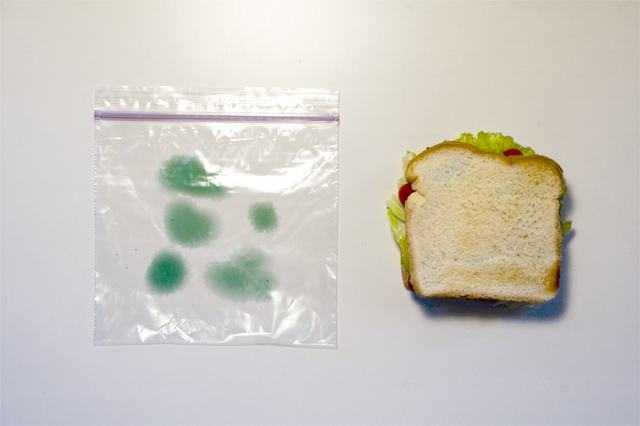 Obrázek moldy bag 1