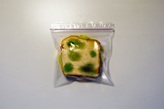 Obrázek moldy bag 2