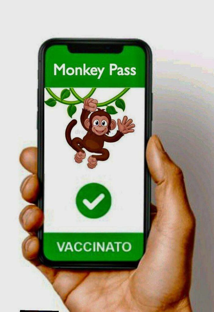 Obrázek monkey pass