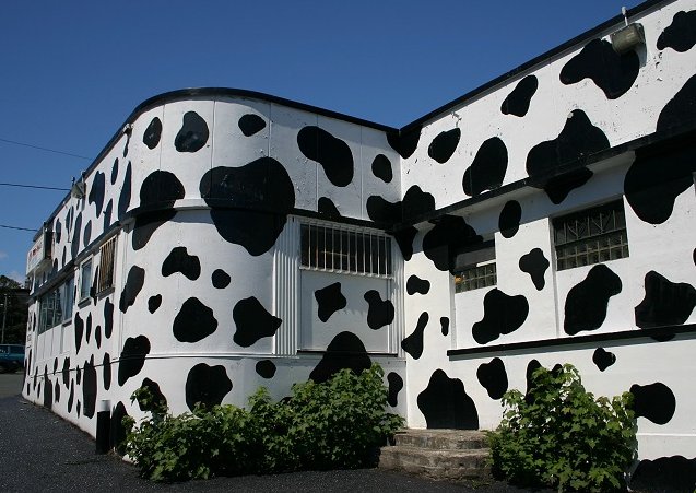 Obrázek moo-moos