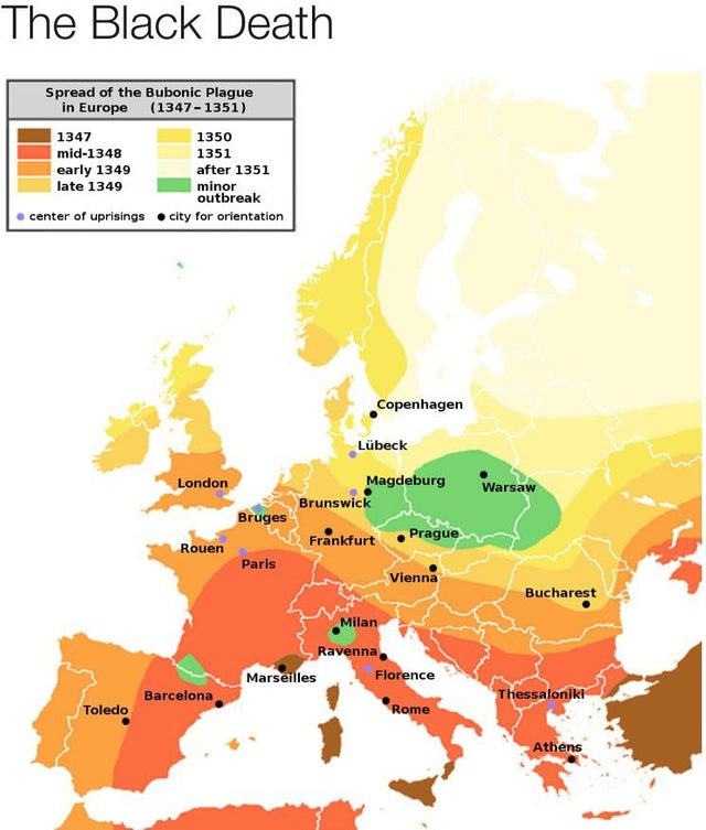 Obrázek mor na te