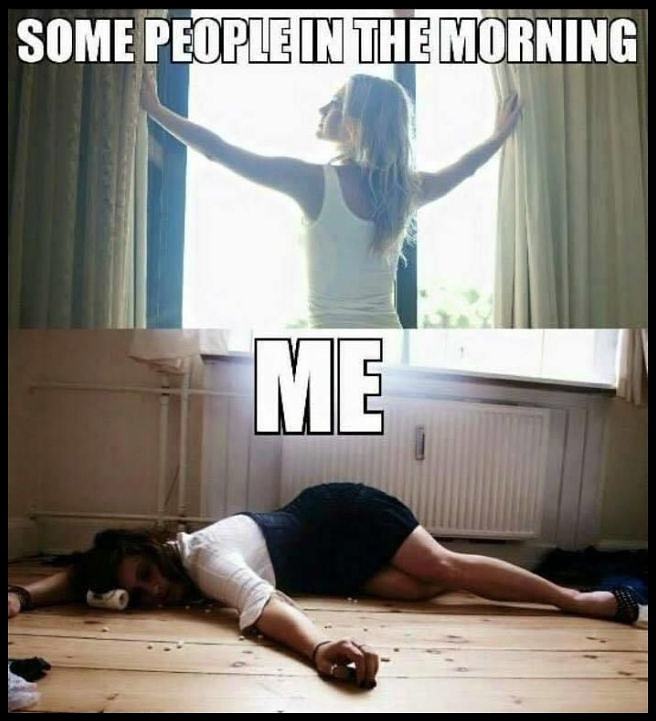 Obrázek morning98659