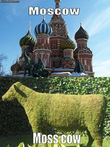 Obrázek moscow