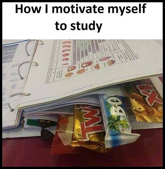 Obrázek motivate-study