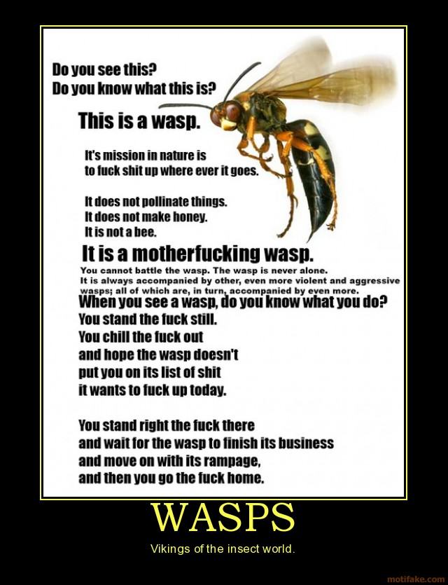 Obrázek motivational-animal-bug-wasps