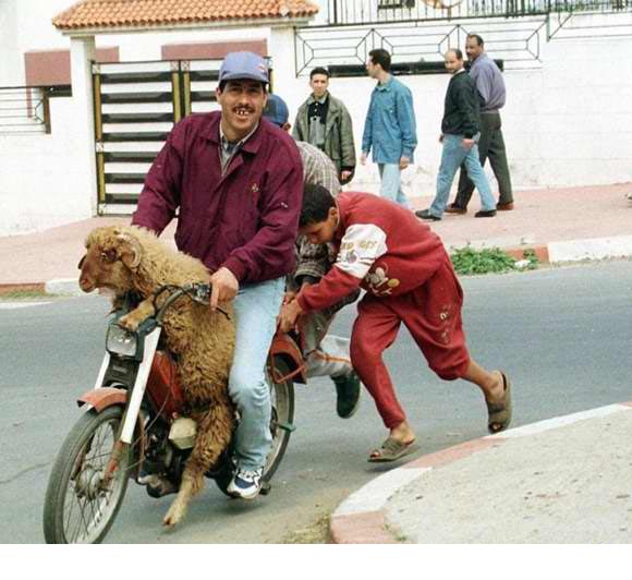 Obrázek motorkari-marokko