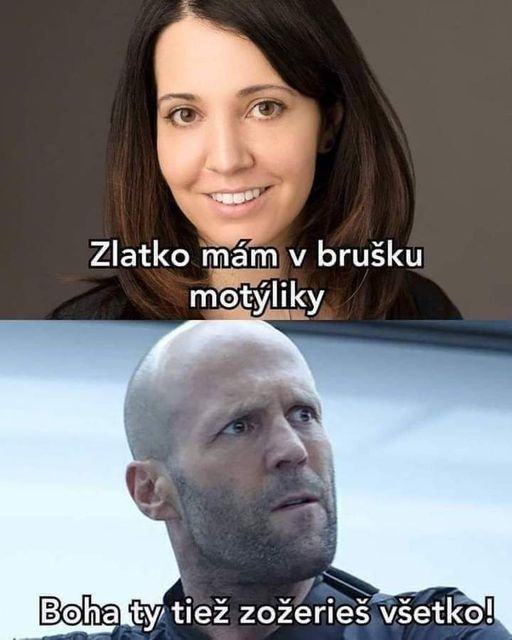 Obrázek motyle v travicim traktu