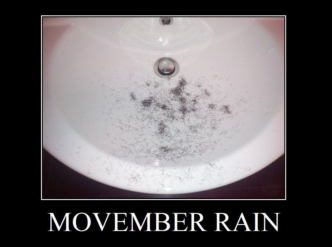 Obrázek movember rain