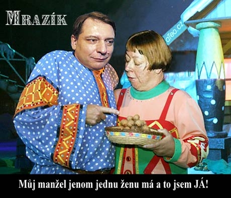 Obrázek mrazik