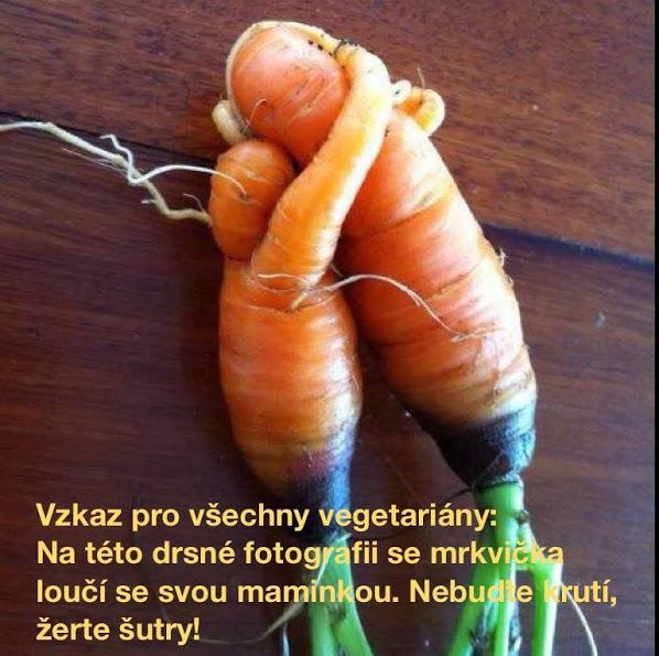Obrázek mrkvicka pro vegetariany