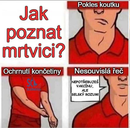 Obrázek mrtvice1