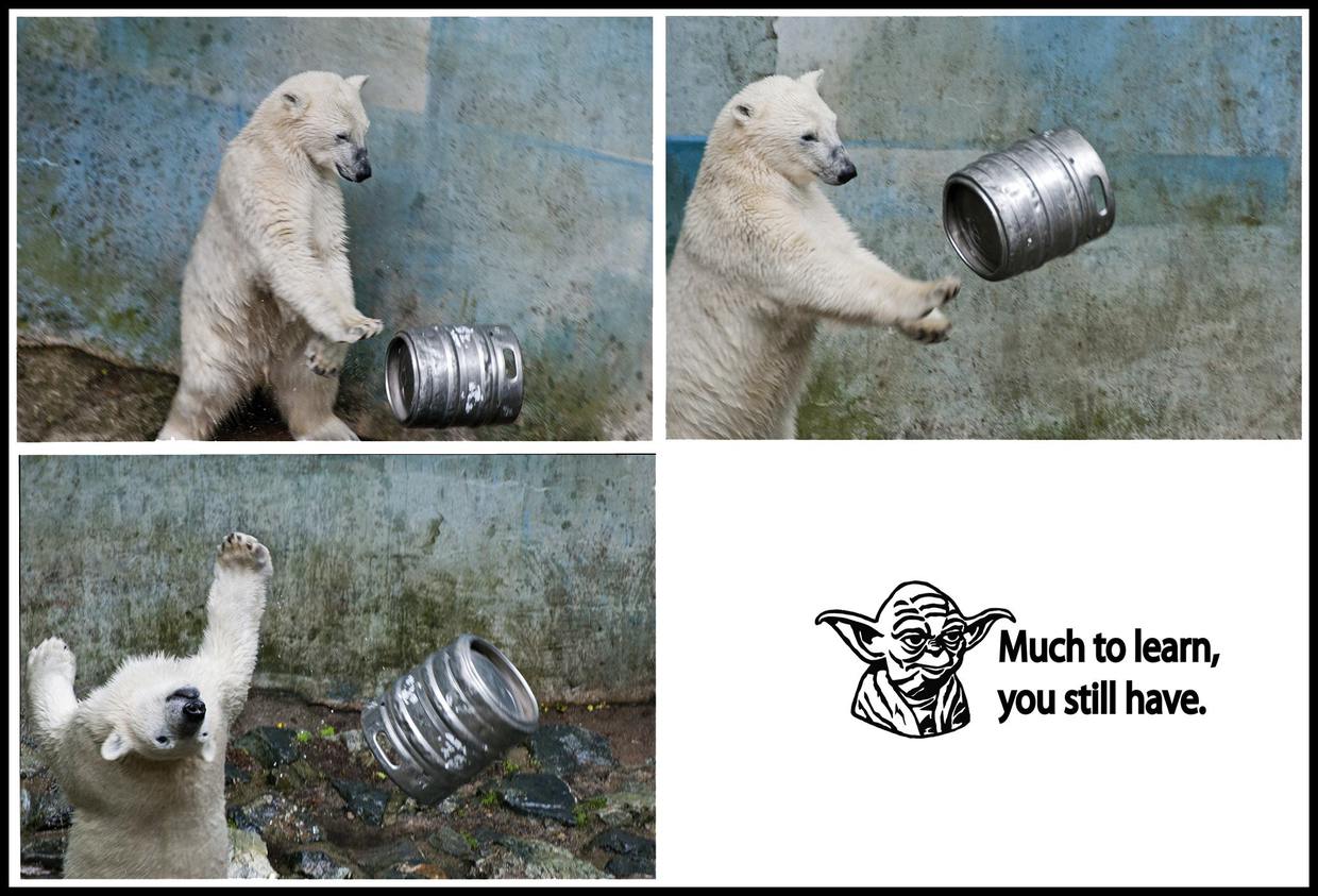 Obrázek much&nbsp;to&nbsp;learn