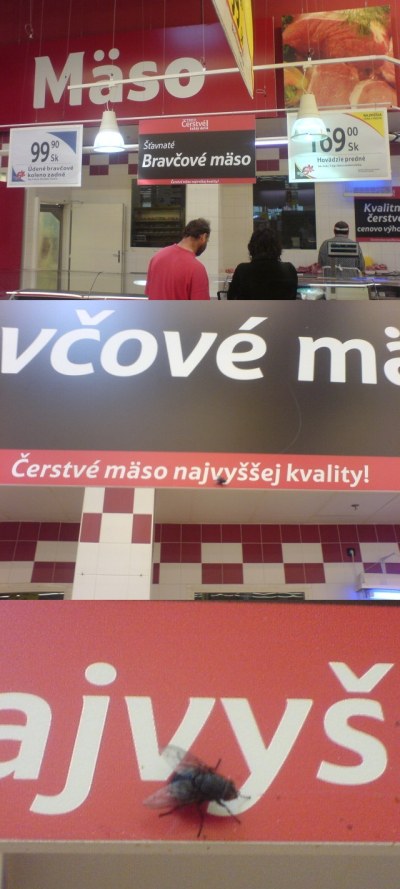 Obrázek mucha tesco