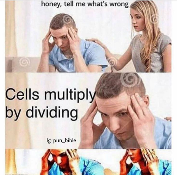 Obrázek multidiv