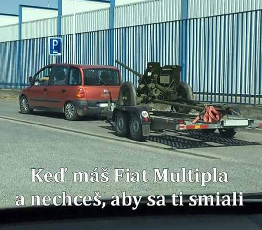 Obrázek multipla