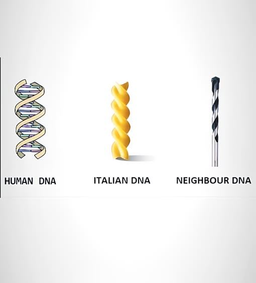 Obrázek multiple types of DNA