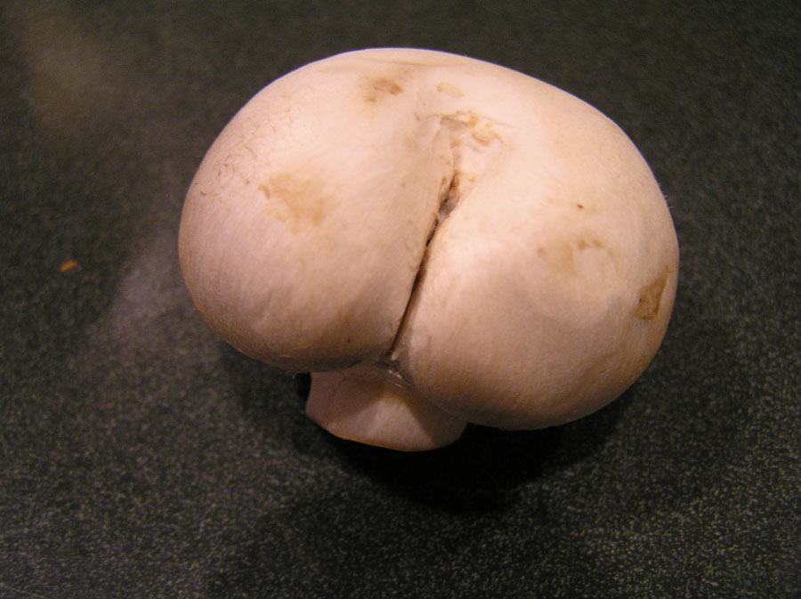Obrázek mushroom