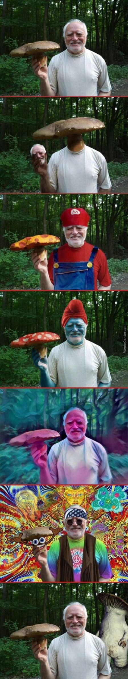 Obrázek mushroom harold