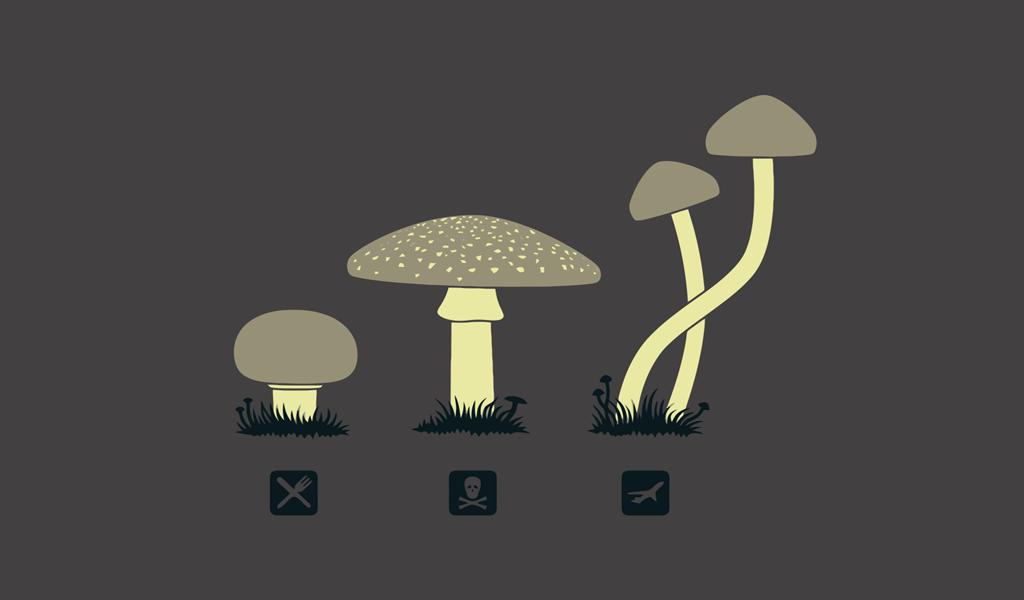 Obrázek mushrooms