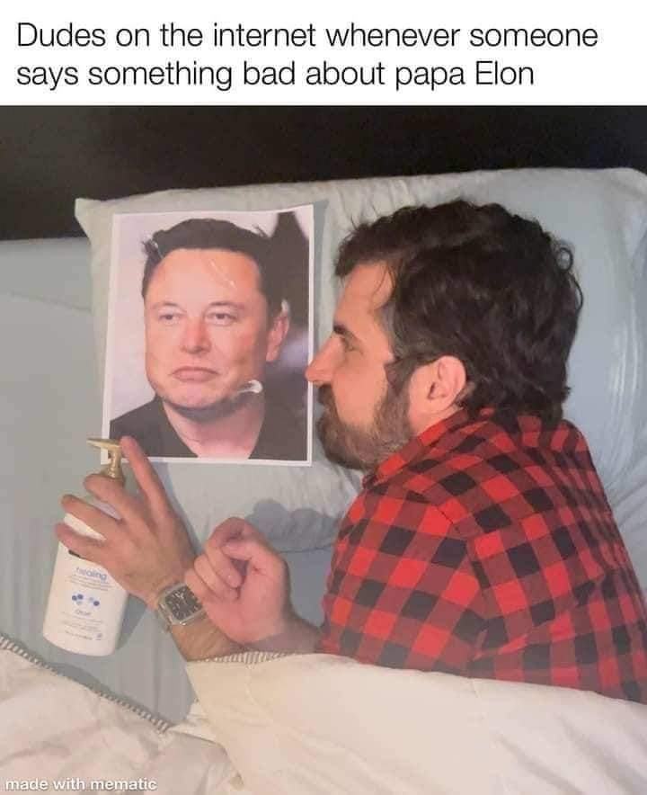 Obrázek musk simp 2