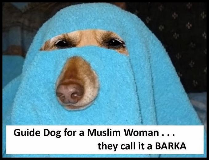 Obrázek muslim guide dog 