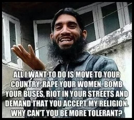 Obrázek muslim logic this is it 540