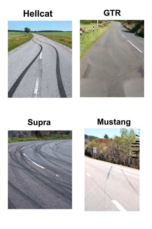 Obrázek muustang