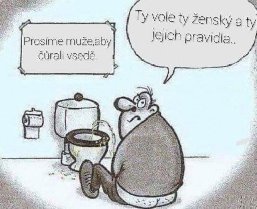 Obrázek muzi maju curad v sede