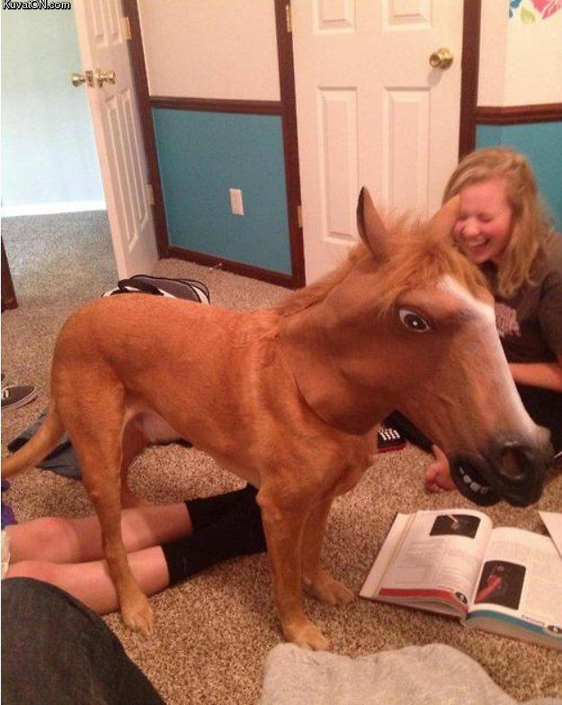 Obrázek my little pony 