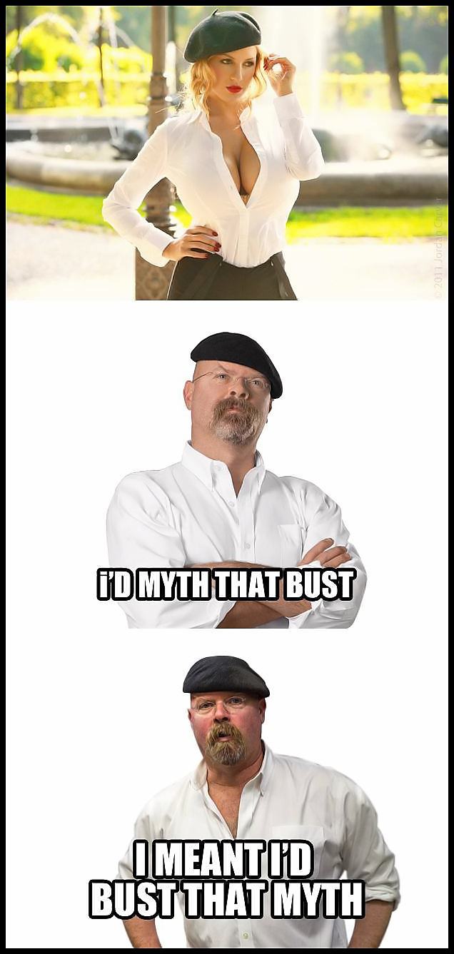 Obrázek myth-bust