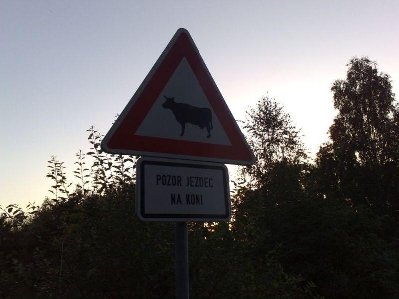 Obrázek na koni
