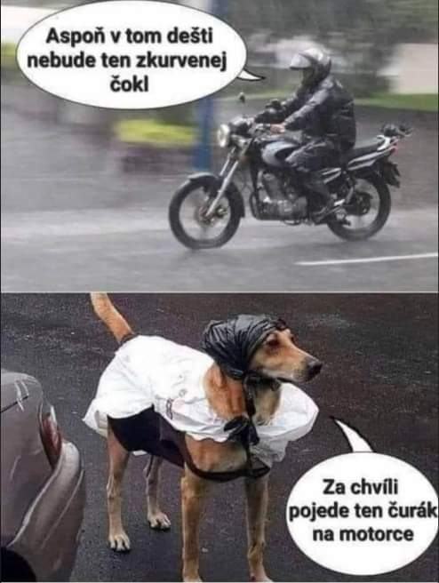 Obrázek na pejska si neprijde