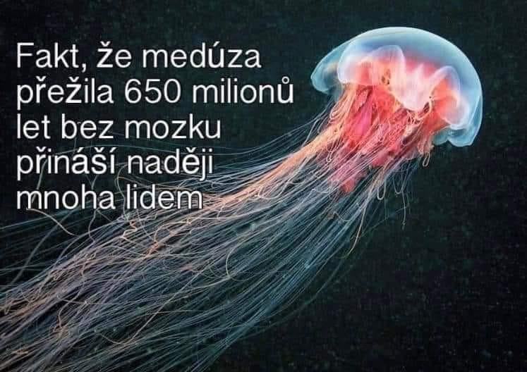 Obrázek nadej pro hodne lidi