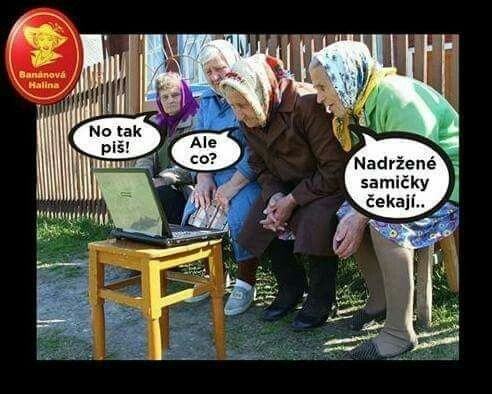 Obrázek nadrzene samicky cekaji