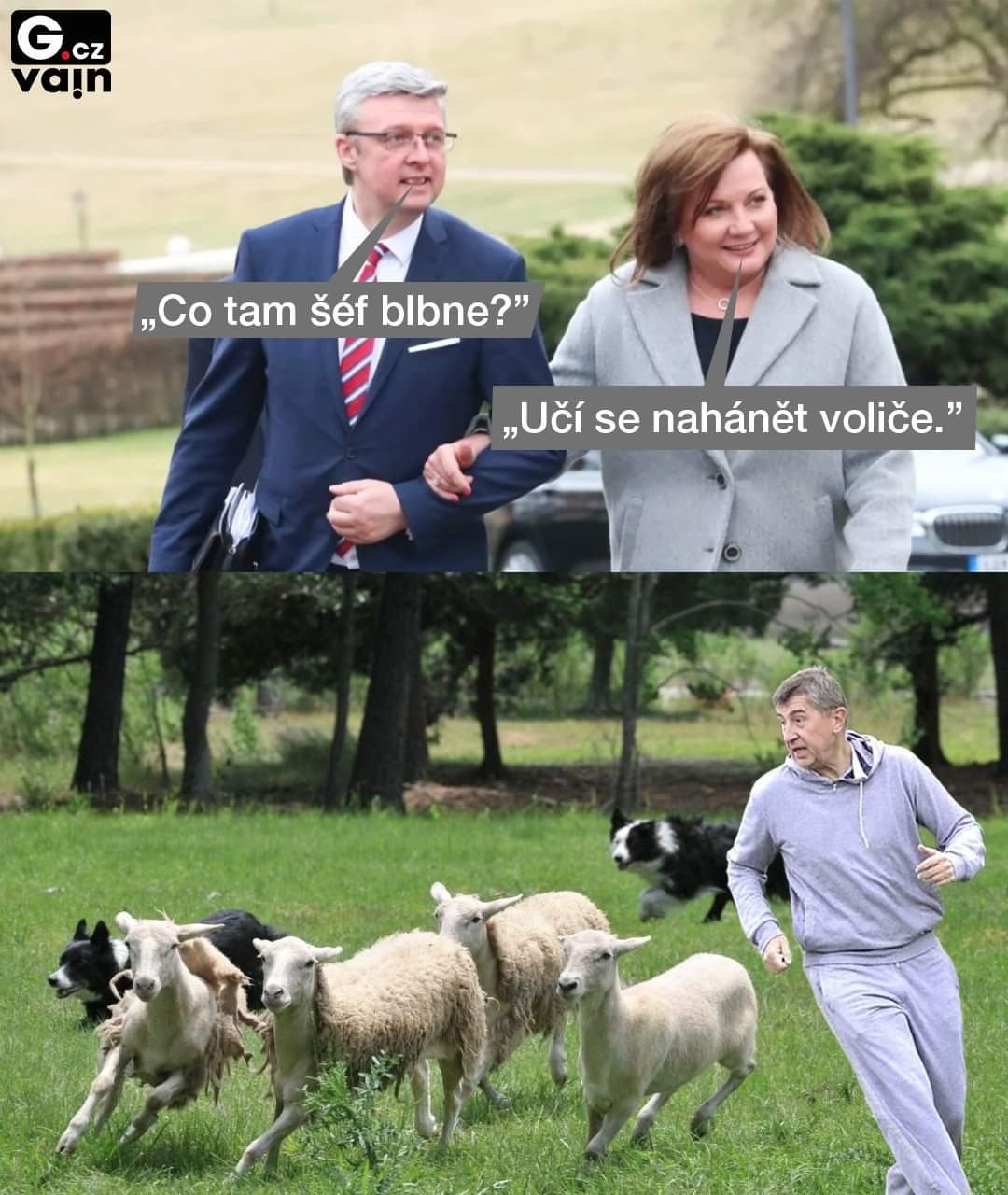 Obrázek nahani volice