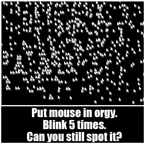 Obrázek najdi mys po peti vterinach