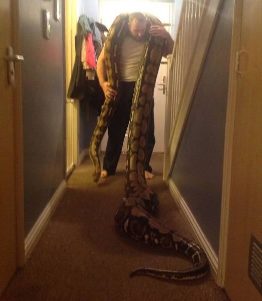 Obrázek najdi pesika