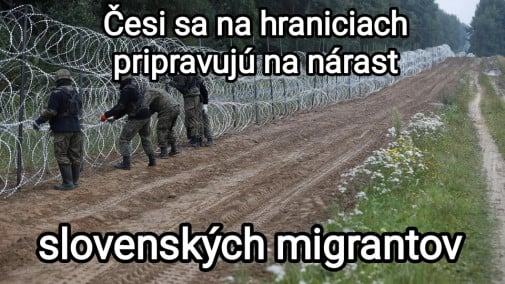 Obrázek narast nigrantov
