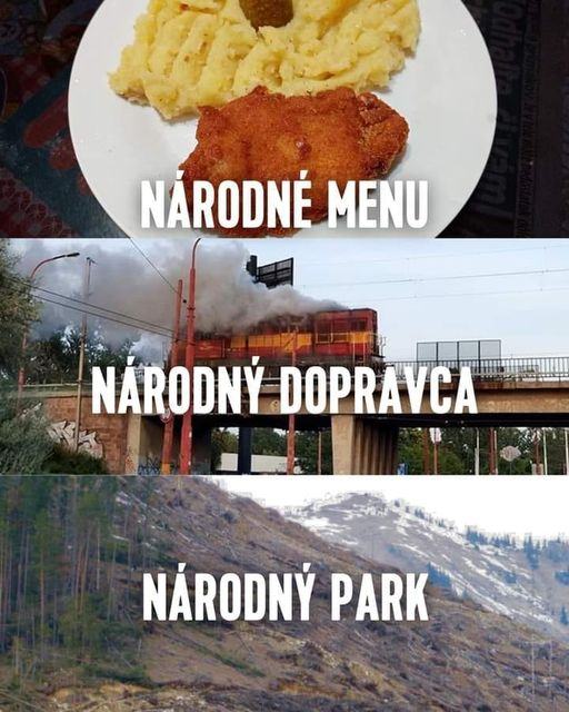 Obrázek narodna slopakija
