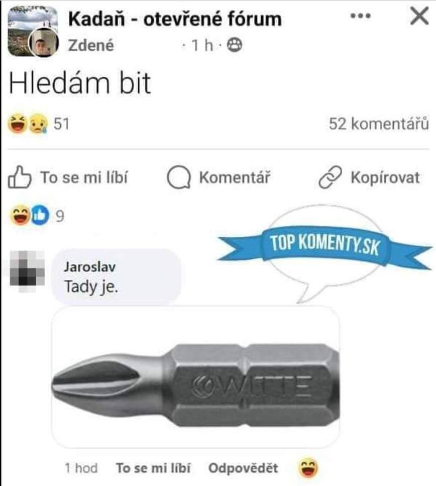 Obrázek nasel bit