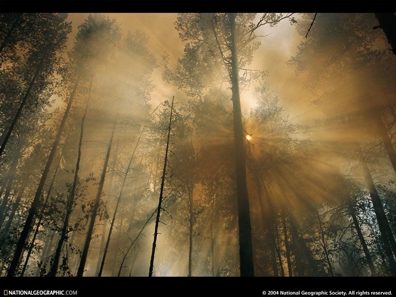 Obrázek national geographic 13