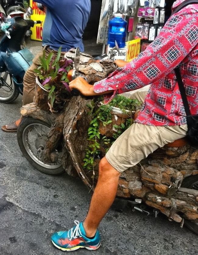 Obrázek natural-motobike 