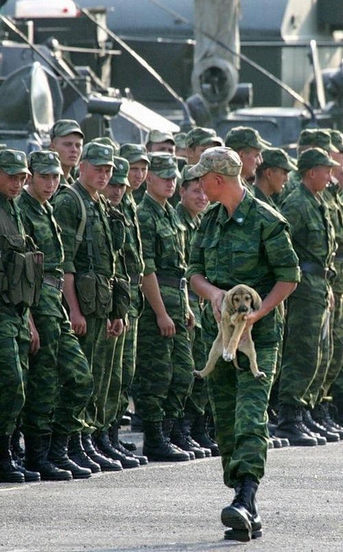 Obrázek navrh na vojenskou bublinu