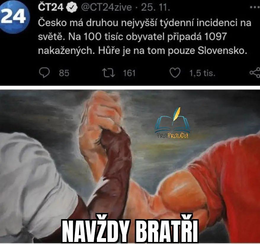 Obrázek navzdy bratri